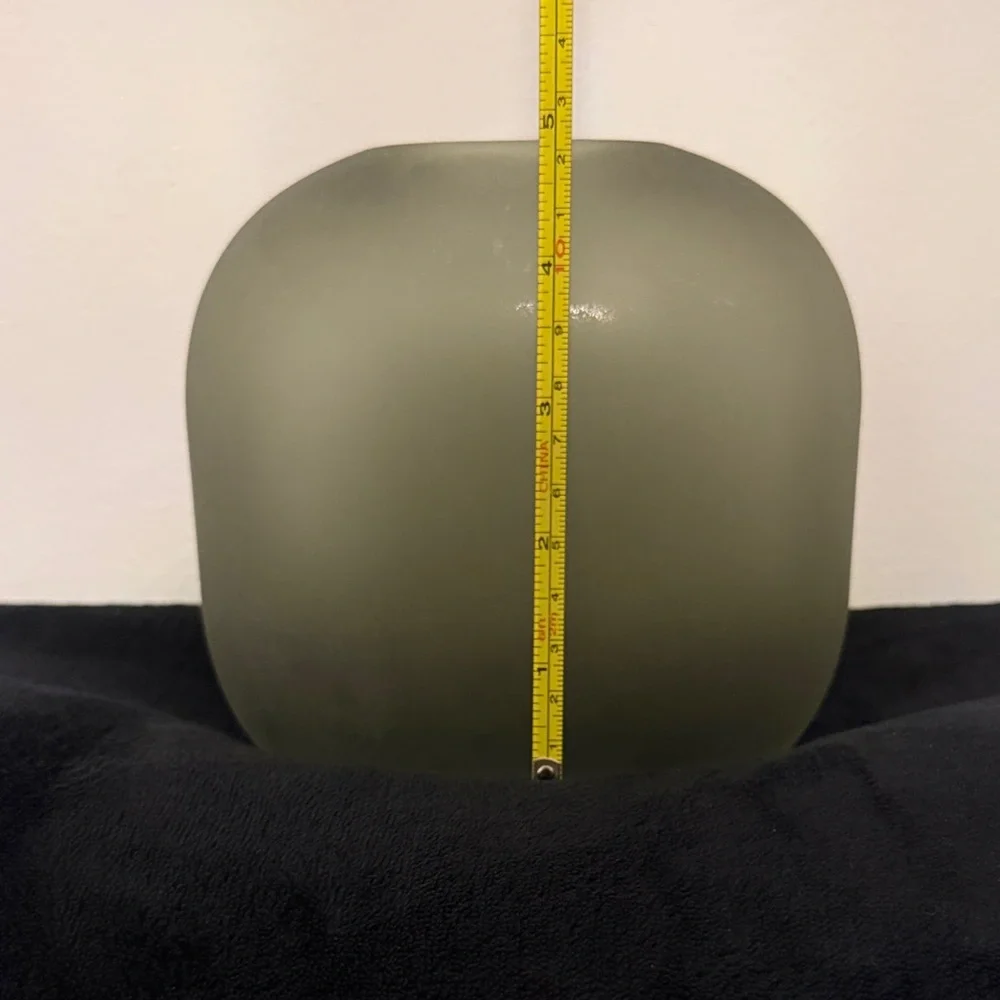 West Elm Oval Frosted Glass Vase, Small